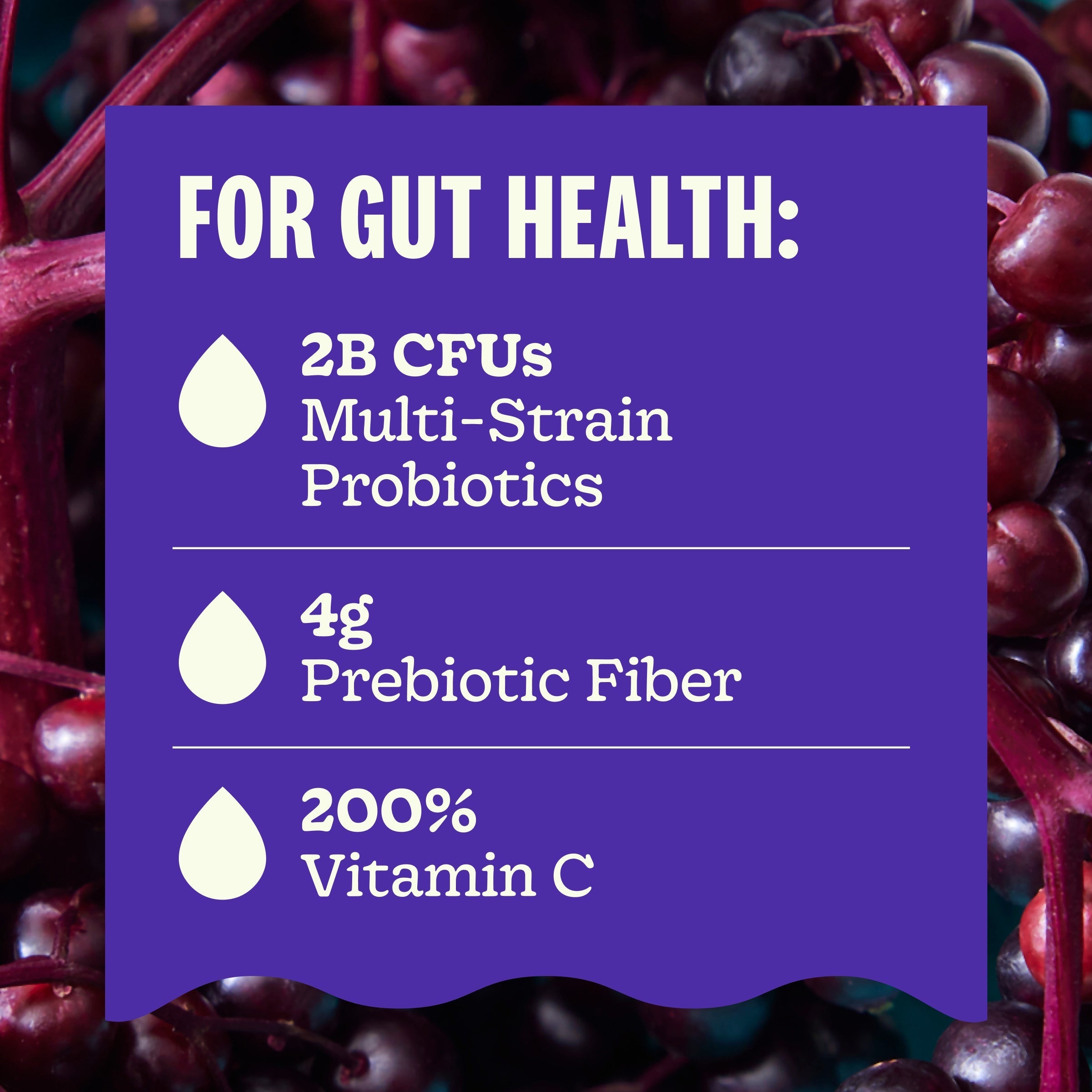 Gut Health Elderberry Ginger